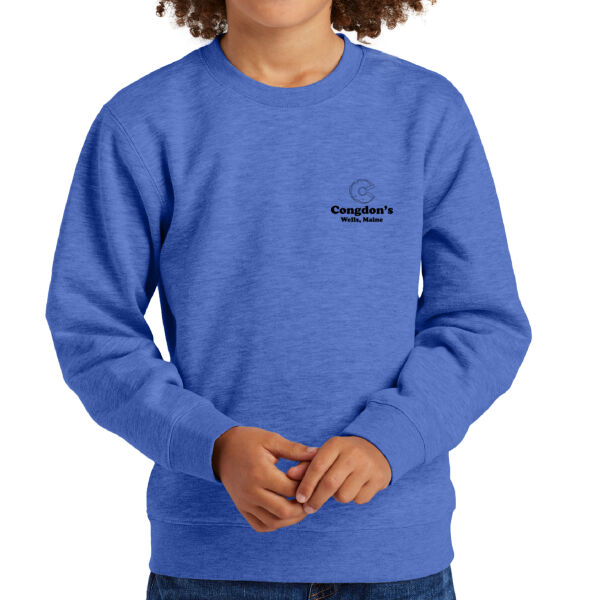 Surfing Teddy - Youth V.I.T. Fleece Crew Thumbnail